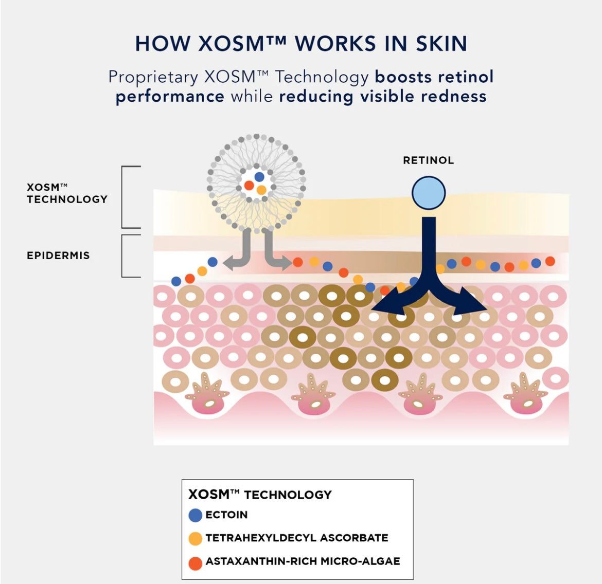 IMAGE Ageless+ Retinol Treatment Crème 1.2%