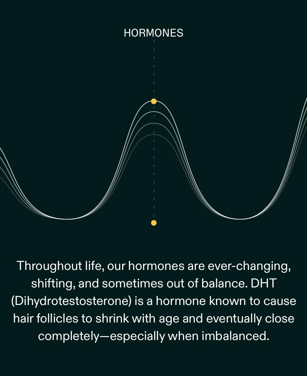Nutrafol Women’s Hair Growth Supplement 3 Month Supply