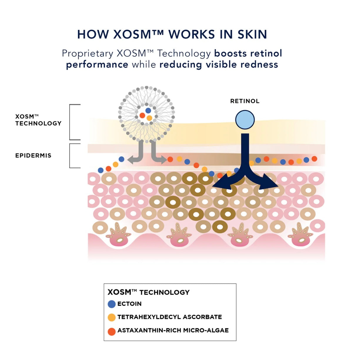 IMAGE Ageless+ Retinol 0.3%