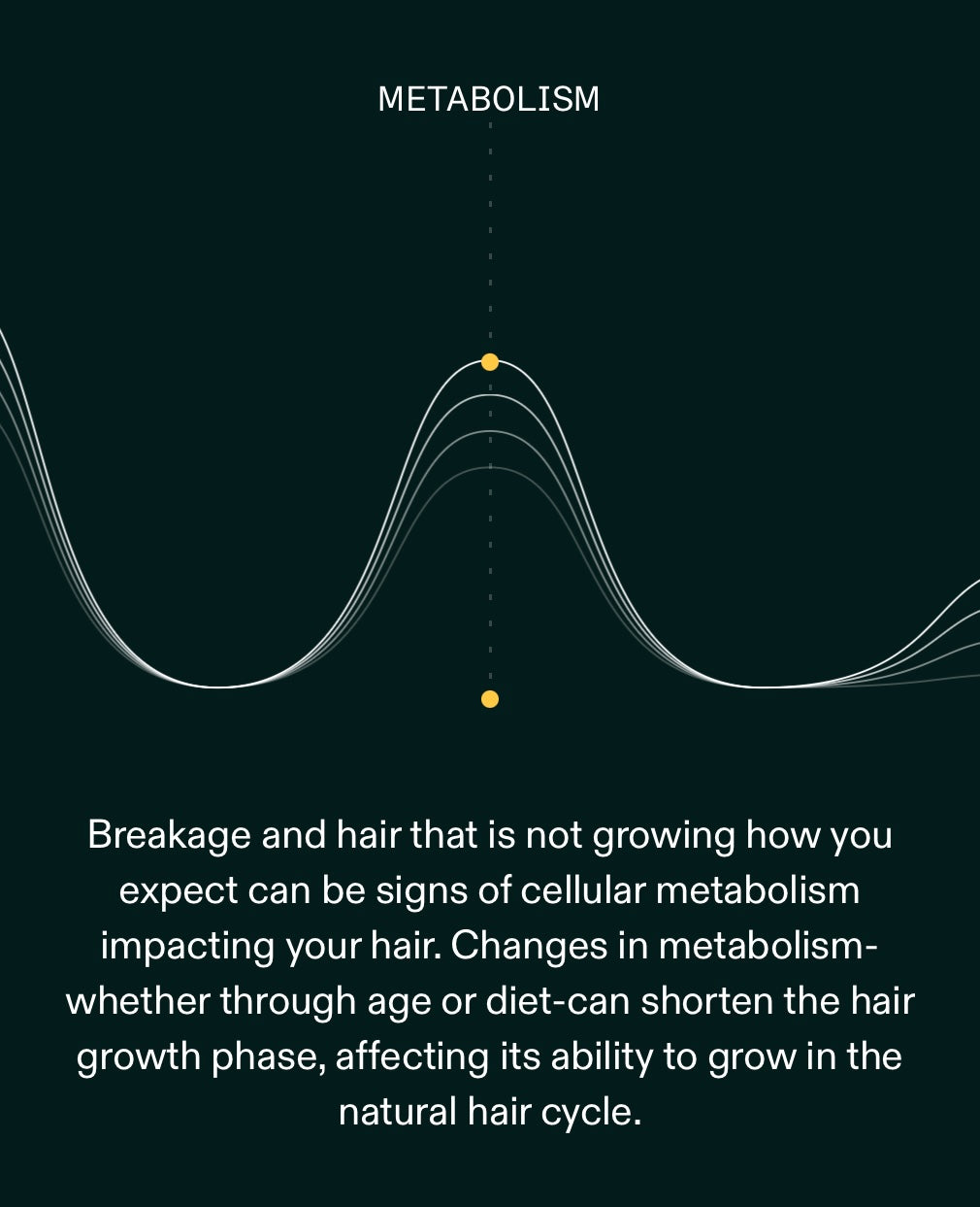 Nutrafol Women’s Hair Growth Supplement 3 Month Supply